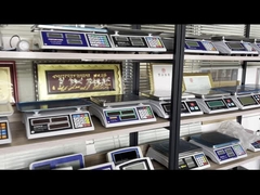 WALL-E-Bodenwaage Plattform Edelstahl-Bodenwaage Weighbridge Truck Scale